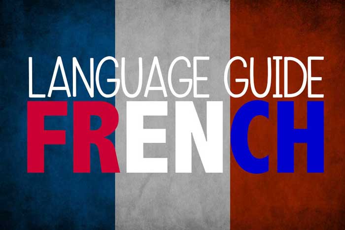 تفاوت زبان فرانسه و دیگر زبانهای اروپایی چیست؟ فرانسوی در کدام کشورها رایج تر است؟