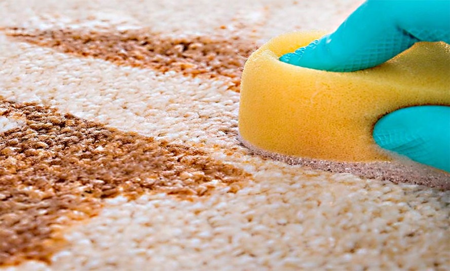 ۱۴ ترفند فوری از بین بردن انواع لکه فرش