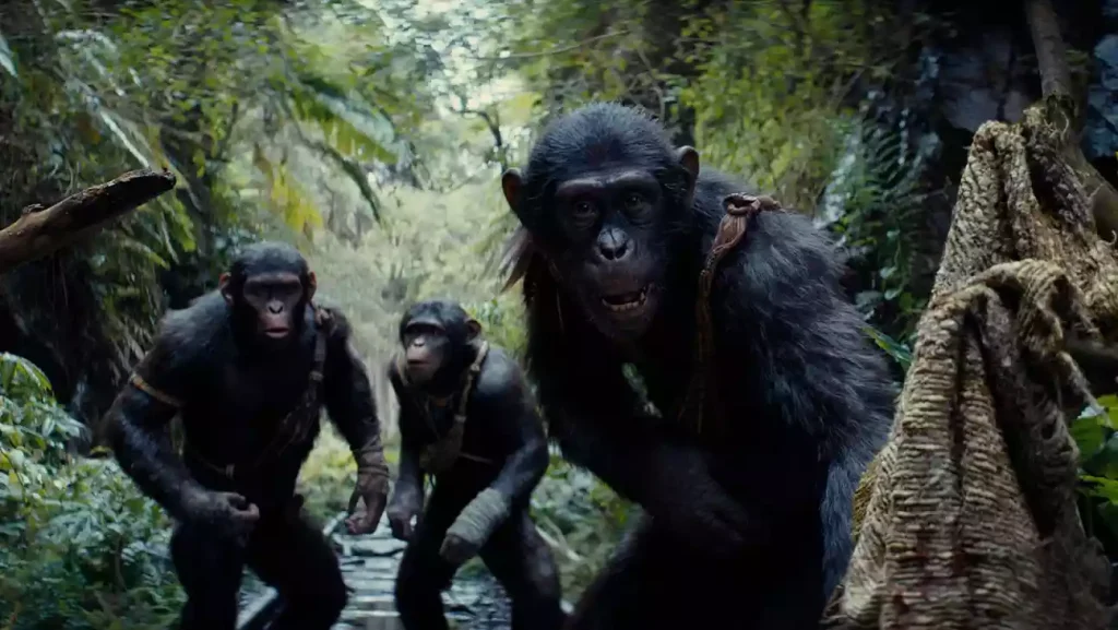 نقد و بررسی فیلم Kingdom Of The Planet Of The Apes