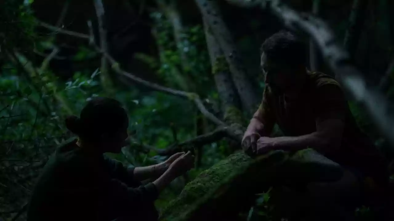 ۱۵ تا از بهترین فیلم برتر سال ۲۰۲۴ تاکنون، به انتخاب متاکریتیک