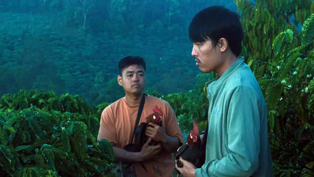 ۱۵ تا از بهترین فیلم برتر سال ۲۰۲۴ تاکنون، به انتخاب متاکریتیک