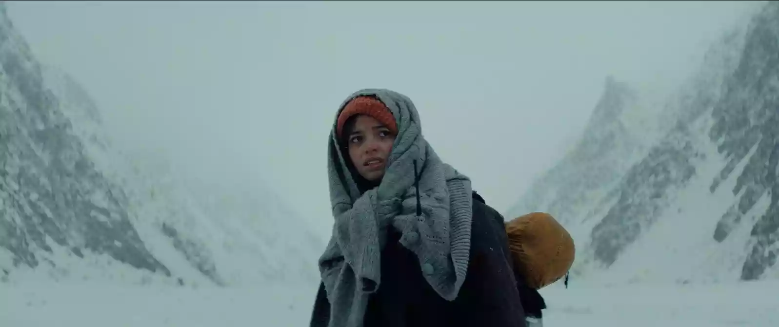 معرفی فیلم The Occupant 2025