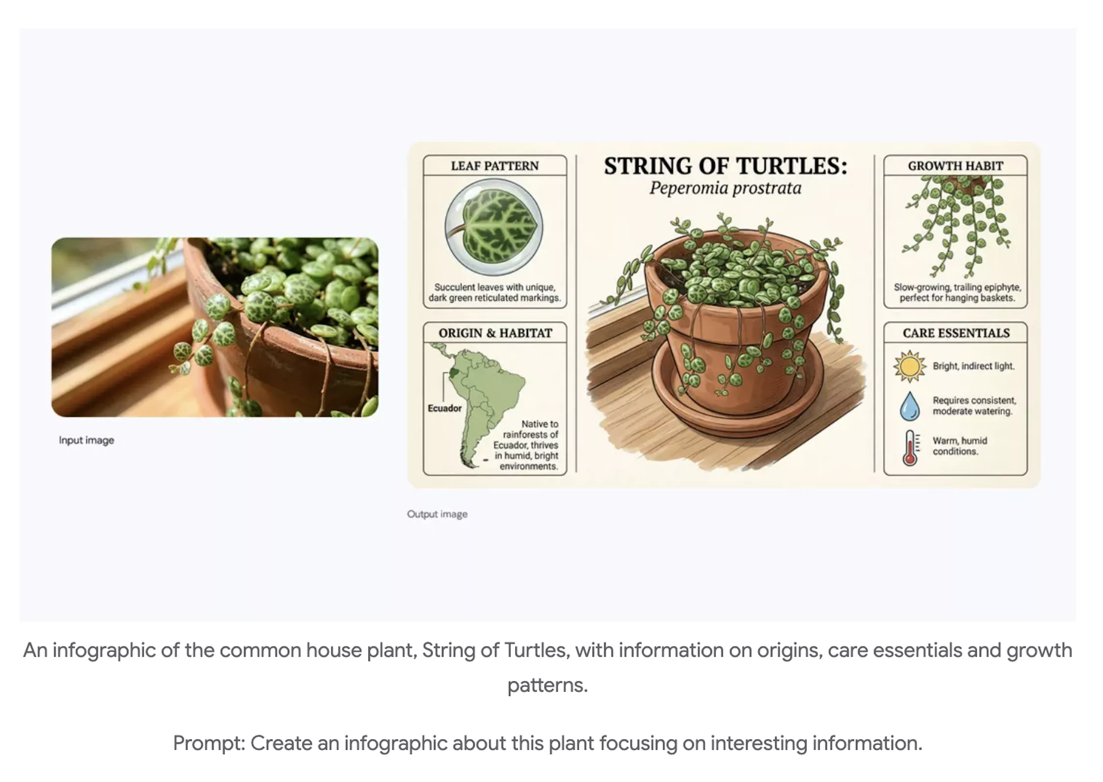 نانو بنانا پرو گوگل