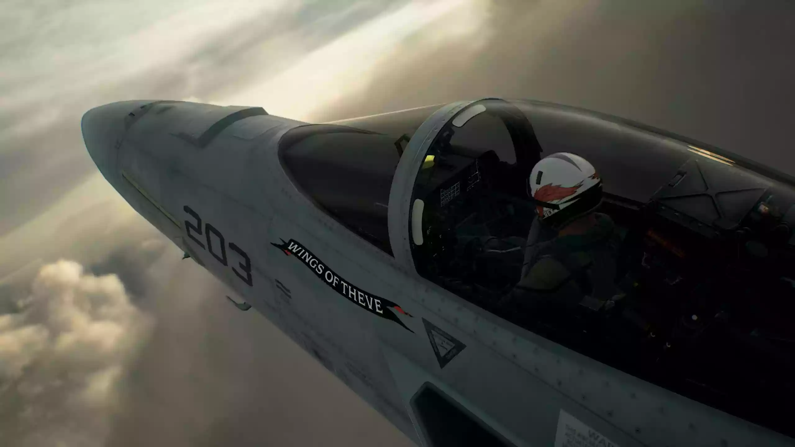 Ace Combat 8: Wings of Theve