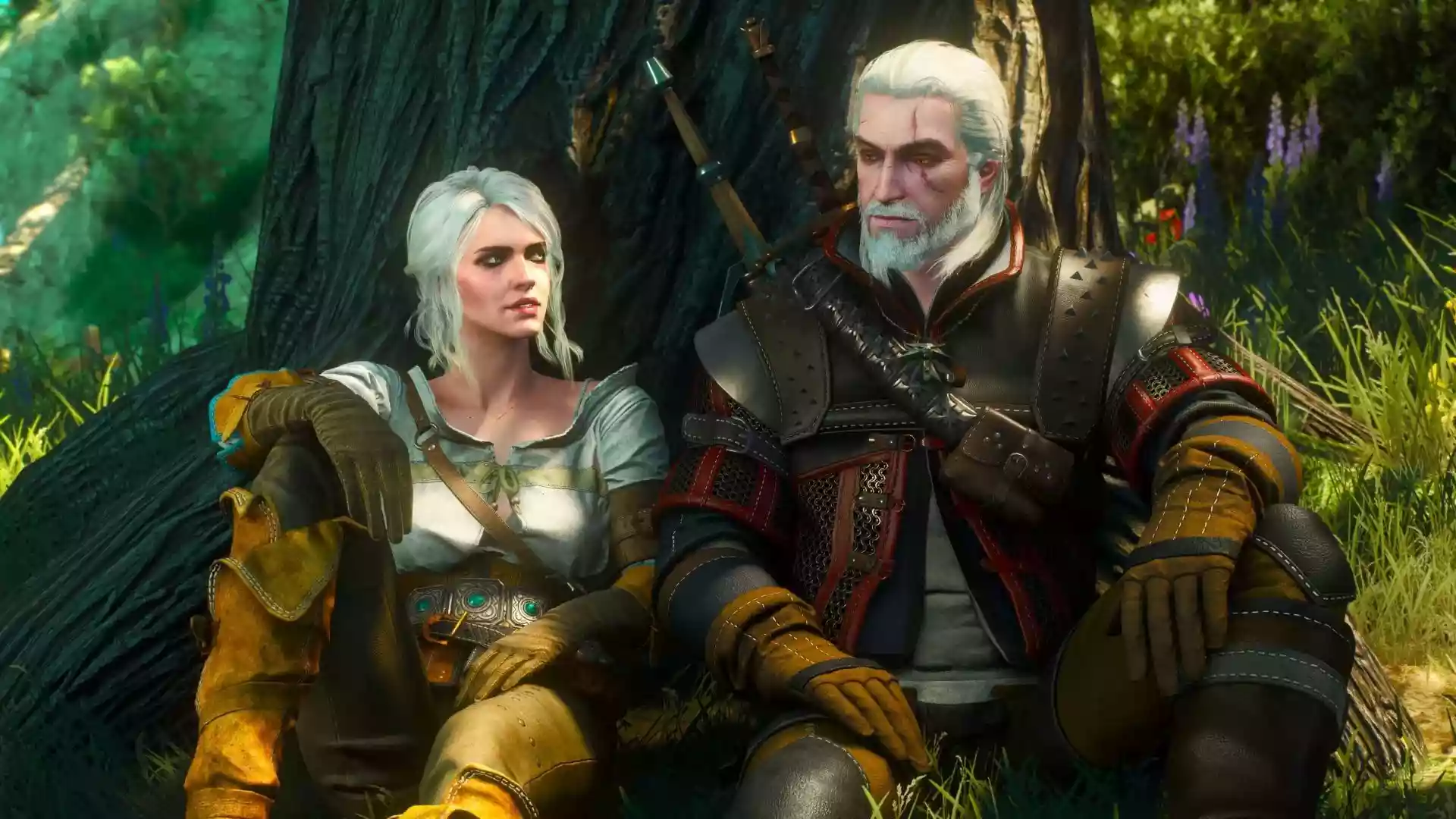 DLC جدید The Witcher 3